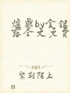 炉鼎by金银花露全文免费阅读笔趣阁