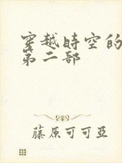 穿越时空的爱恋第二部