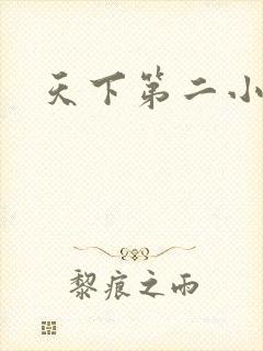 天下第二小说