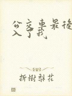 公交车最后一排入了我
