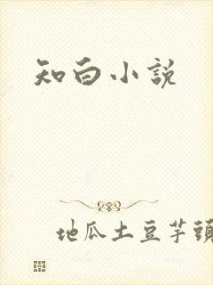 知白小说
