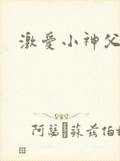 激爱小神父