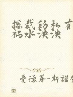 总裁的私有宝贝祸水泱泱