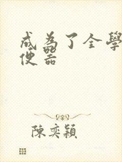 成为了全学校坐便器