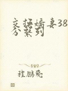 交换娇妻38部分系列