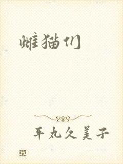 雌猫们