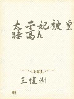 太子妃被皇上强睡高h