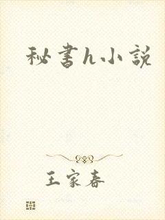 秘书h小说
