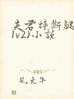 夫君摔断腿后(1v2)小说