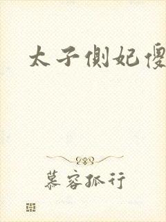 太子侧妃傻乎乎