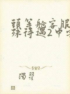 头等舱客服的特殊待遇2中字