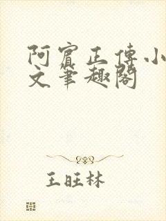 阿宾正传小说全文笔趣阁