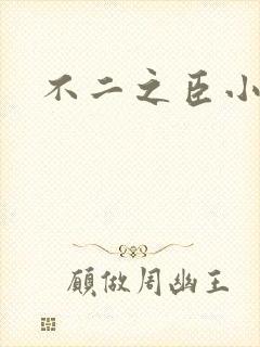 不二之臣小说