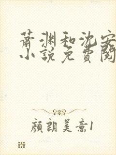 萧渊和沈安安的小说免费阅读