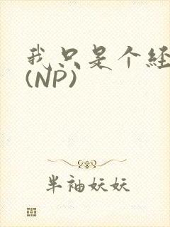 我只是个经纪人(NP)