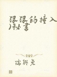 狠狠的撞入(h)秘书