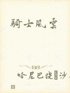 骑士风云