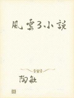 风云3小说