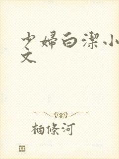 少妇白洁小说全文