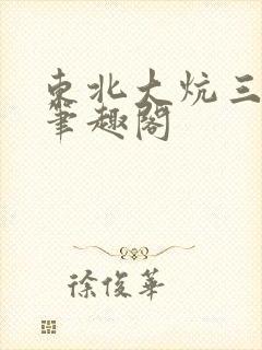东北大炕三部曲笔趣阁