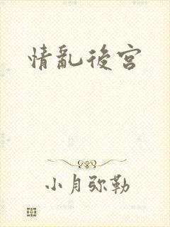 情乱后宫