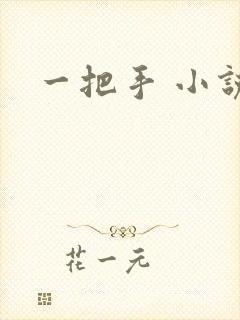 一把手 小说
