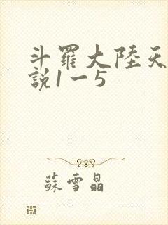 斗罗大陆天狂传说1一5