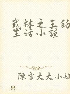 武林之王的退隐生活小说