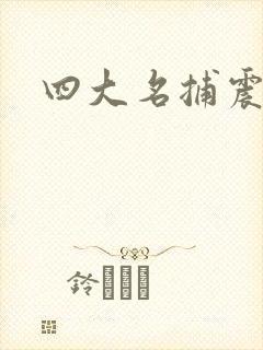 四大名捕震关东