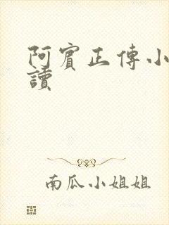 阿宾正传小说在读