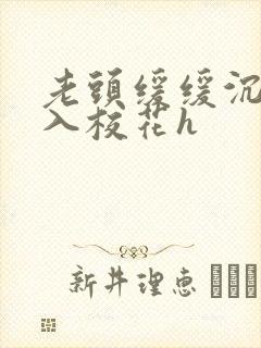 老头缓缓沉腰进入校花h