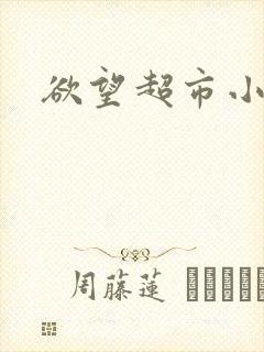 欲望超市小说