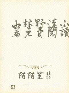 山林野汉小说全篇免费阅读