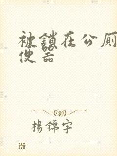 被锁在公厕当坐便器