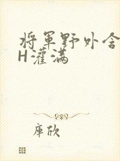 将军野外含公主H灌满