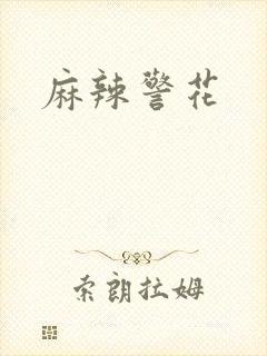 麻辣警花