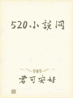 520小说网