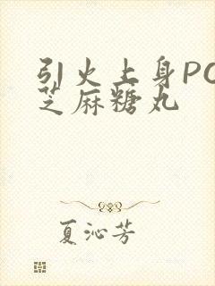 引火上身POP芝麻糖丸