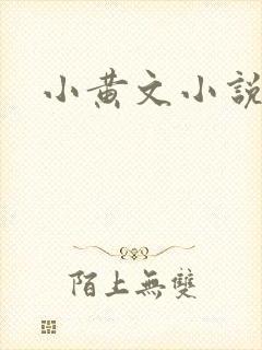 小黄文小说