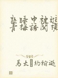 熟睡中被进了H青梅诱哄视频