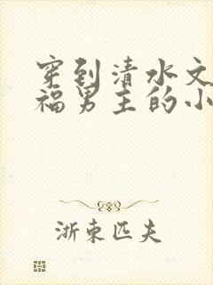 穿到清水文里造福男主的小说