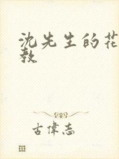 沈先生的花式调教