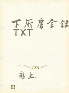 下厨房金银花露 TXT