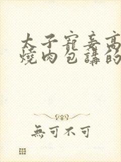 太子宠妾高肉红烧肉包讲的什么