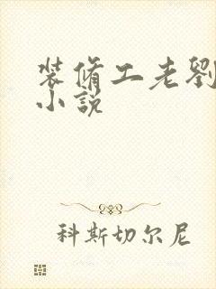 装修工老刘林雪小说