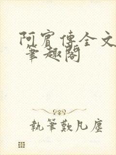 阿宾传全文阅读 笔趣阁