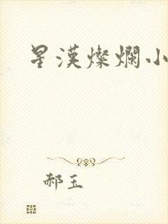 星汉灿烂小说