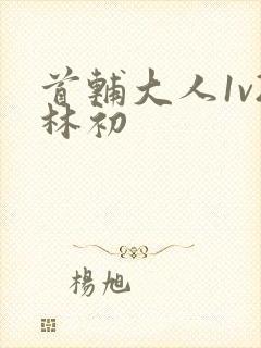 首辅大人1v2林初