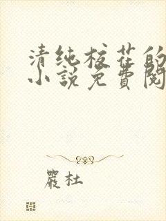 清纯校花的秘密小说免费阅读