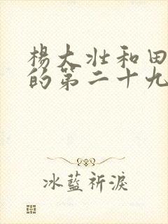 杨大壮和田桂花的第二十九